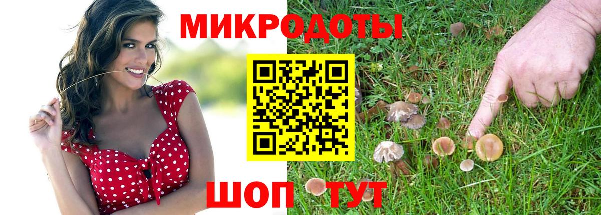 Псилоцибиновые грибы ЛСД Чистополь