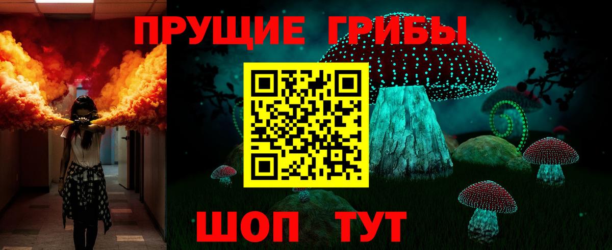 Псилоцибиновые грибы прущие грибы  Вход с VPN  Чистополь 